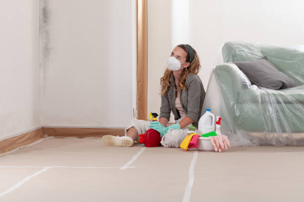 Reliable Mold Testing contractor in Philipsburg, PA by WQB Mold Removal